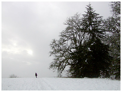 snowy landscape