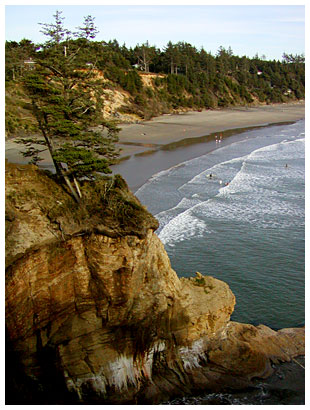 beach at devil's punchbowl