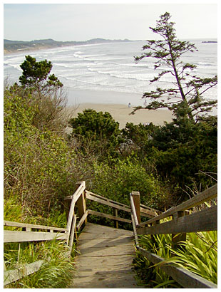 stairs at devil's punchbowl