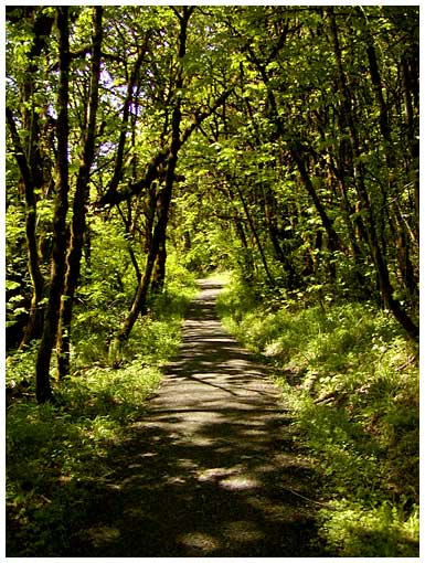 bald hill path