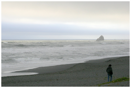 beach walker