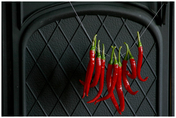 drying peppers