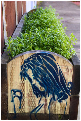 planter, stencil