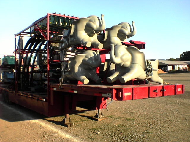 elephants ready for shipping