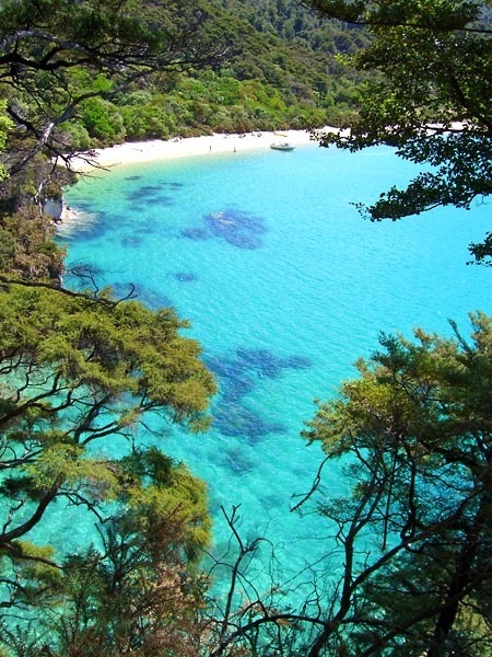 Abel Tasman NP