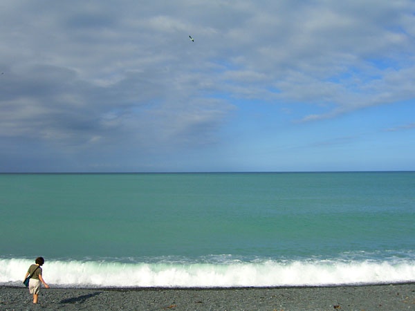 Kaikoura beach