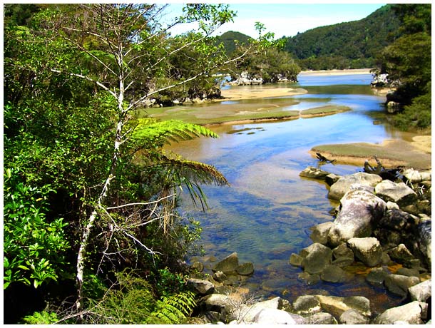 abel tasman tide