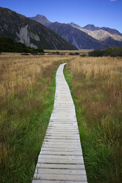 wood track