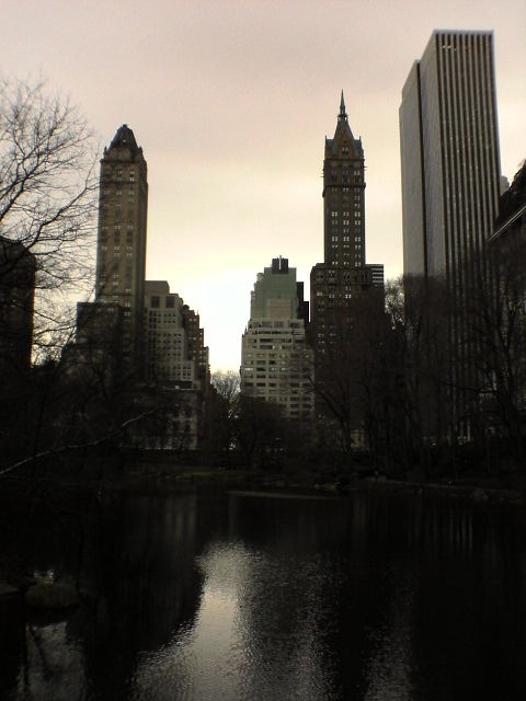 Central Park View