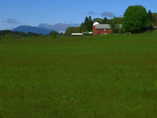 Barn and Mary's Peak