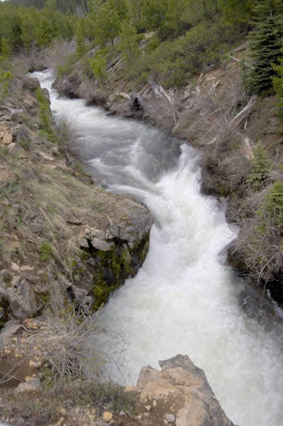 tumalo creek