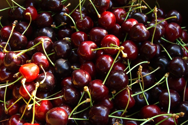 bumper cherry crop