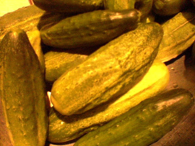 future pickles