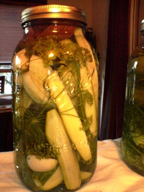 pickles in process