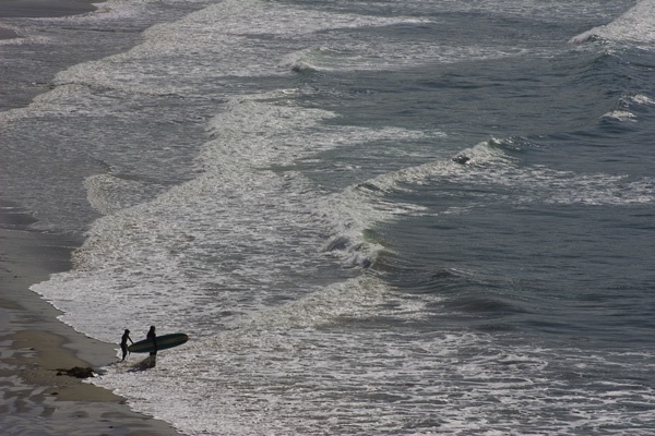 surfers