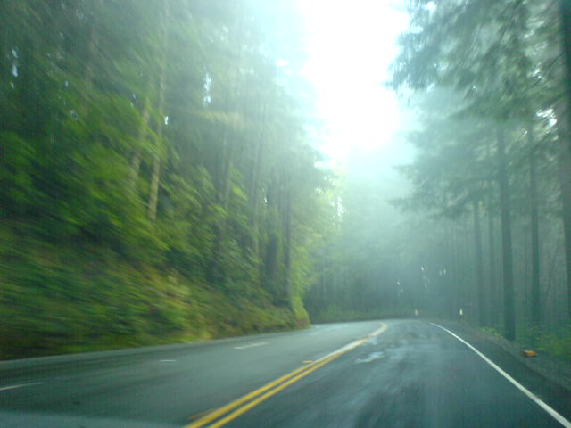 Redwood Highway