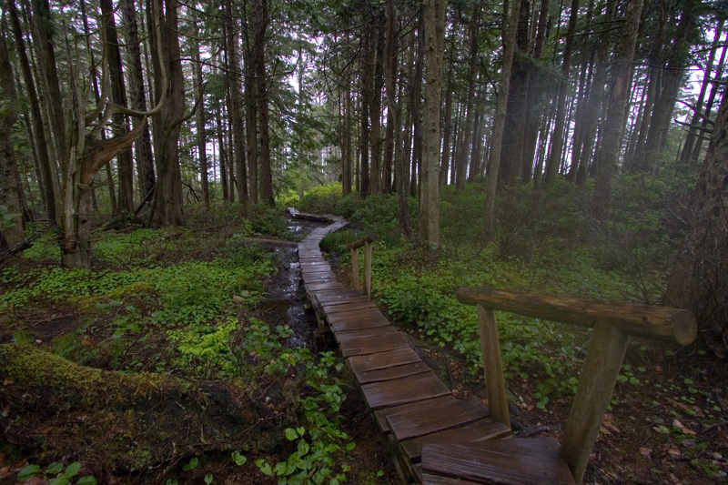 cape flattery stairs