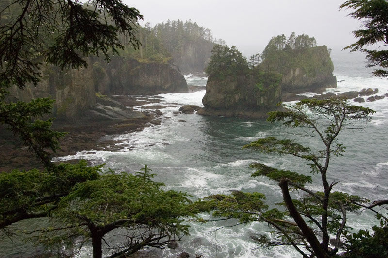 cape flattery view