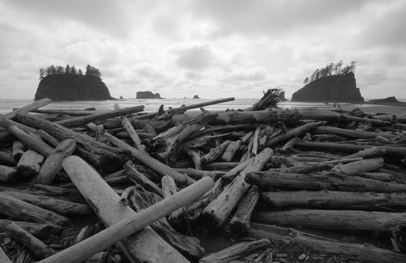 second beach logs