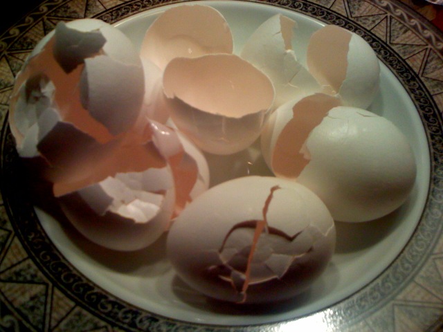 Eggshells