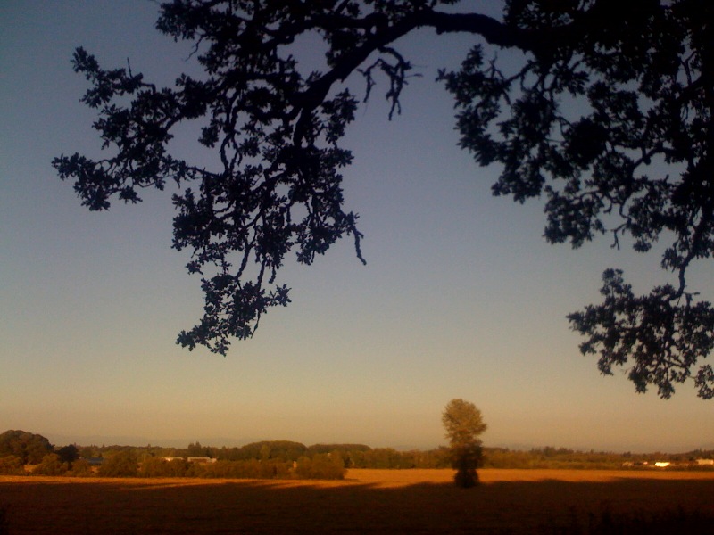 Sunset Ride (Again)