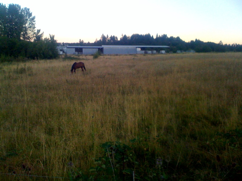 Sunset Ride (x4)