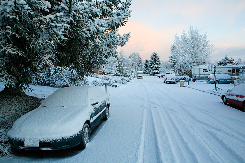 snowy morning