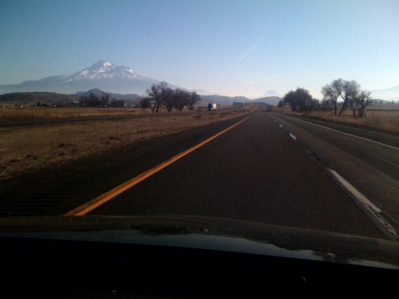 Shasta Ahead